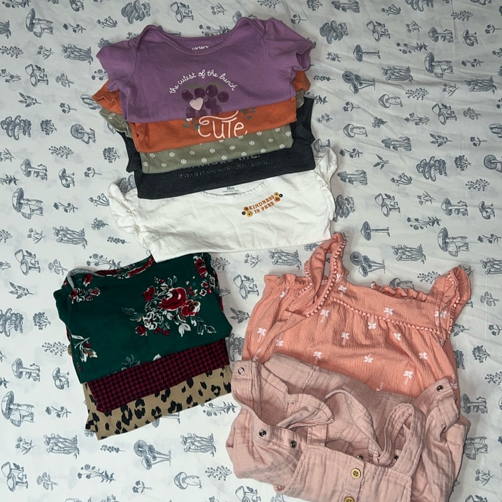 Carters 10 piece babygirl clothing